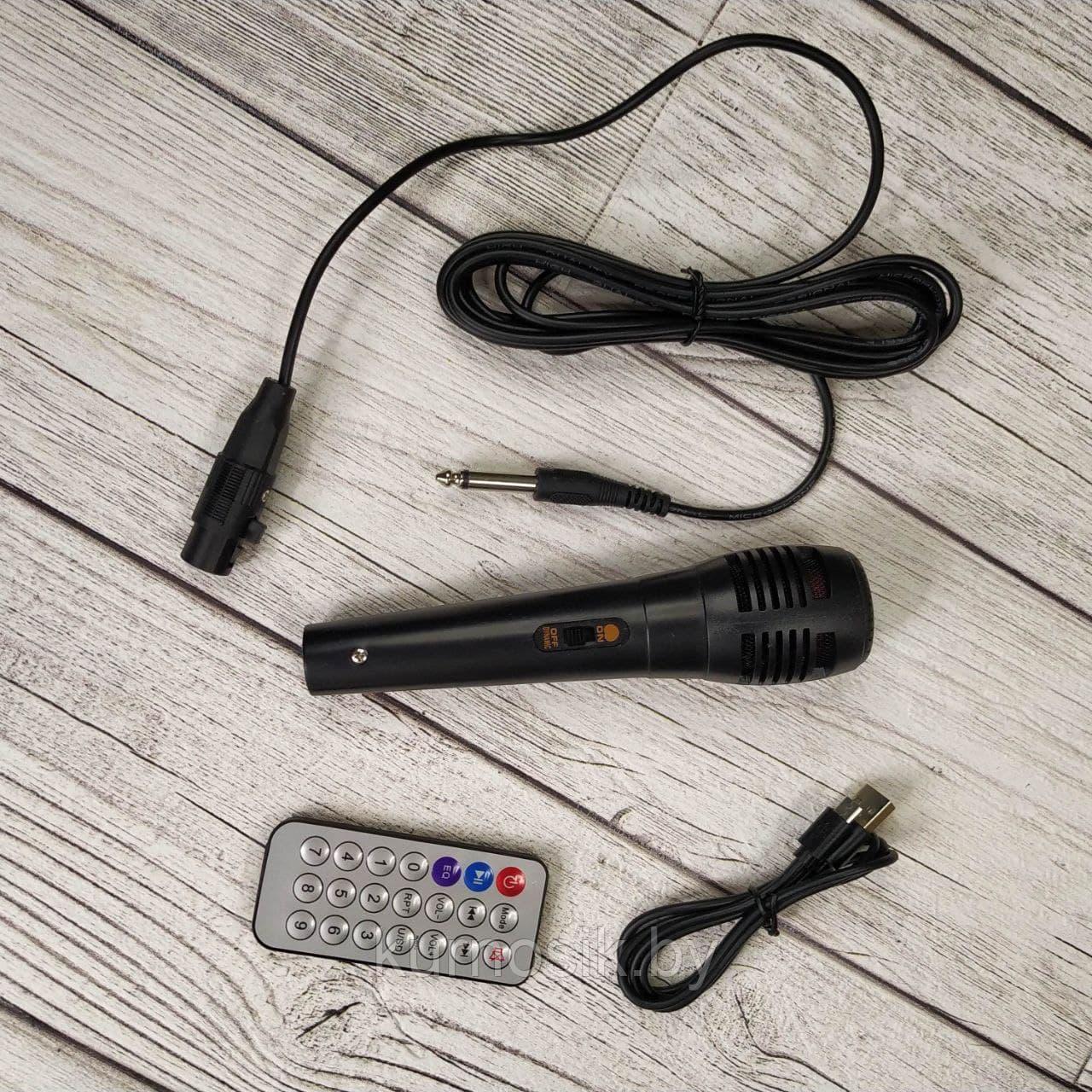 Колонка беспроводная портативная акустическая с микрофоном, пультом и подсветкой BT SPEAKER ZQS 6212 - фото 8 - id-p211388998