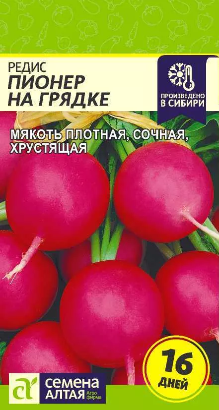 Редис Пионер на грядке 2г Семена Алтая