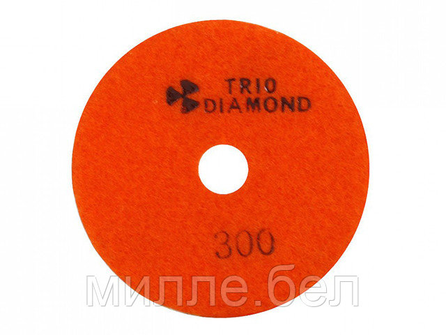 Алмазный гибкий шлифкруг "Черепашка" 100 № 300 (мокрая шл.) (Trio-Diamond)