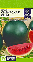 Арбуз Сибирская роза 1г Семена Алтая