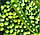 Горох Сибирский Гигант 10г Семена Алтая, фото 3