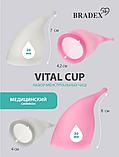 Набор менструальных чаш Vital Cup, 2 шт. (S+L), фото 6