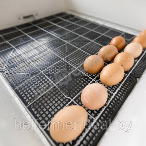 Инкубатор Несушка на 77 яиц (автомат, цифровое табло, 220+12В) арт. 63. (УЦЕНКА) - фото 5 - id-p211449247