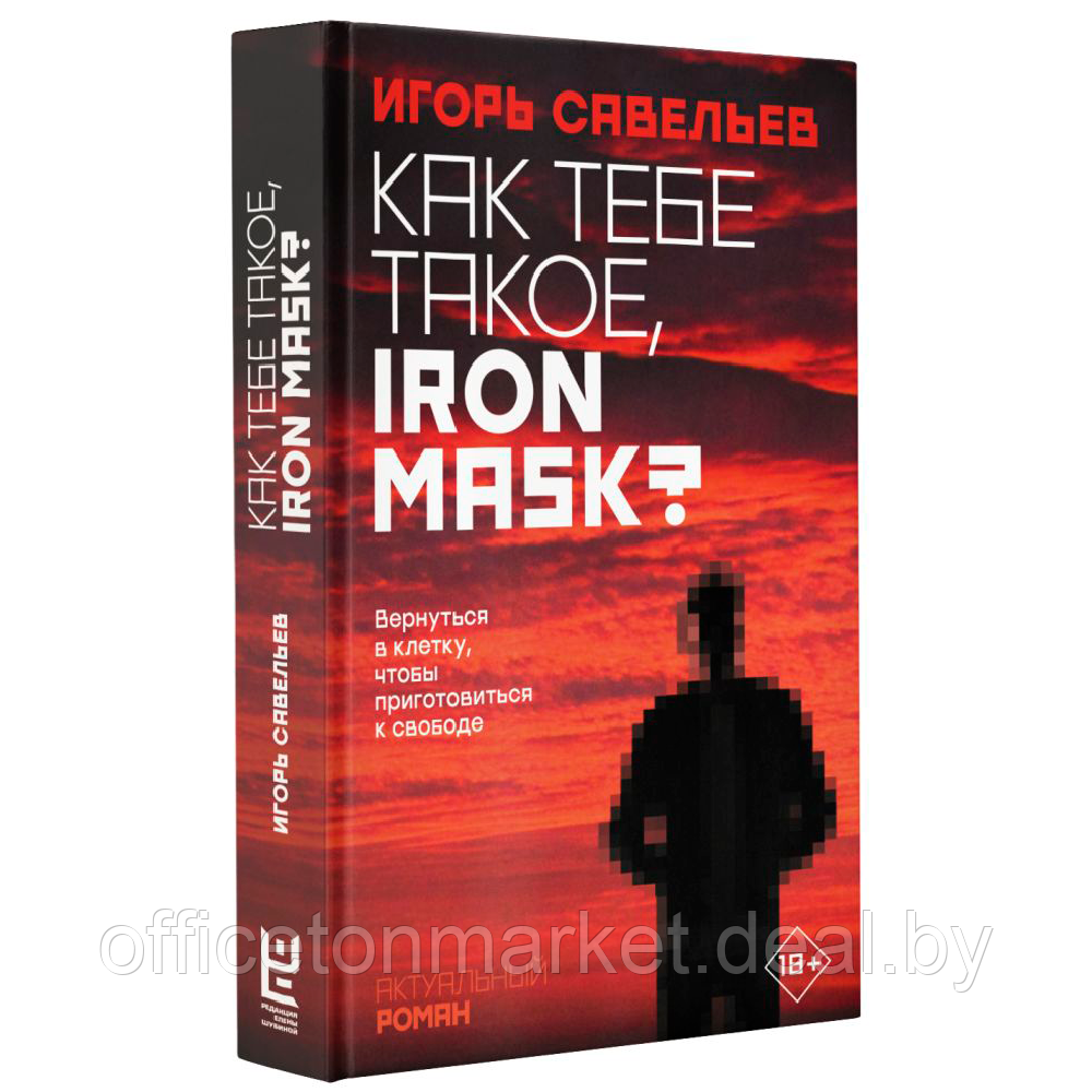 Книга "Как тебе такое, Iron Mask?", Игорь Савельев - фото 1 - id-p211448566