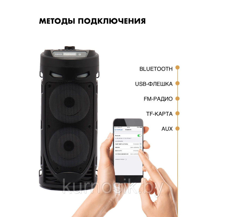 Колонка акустическая портативная BT Speaker ZQS4239 с ремнем, пультом и микрофоном - фото 7 - id-p206288616