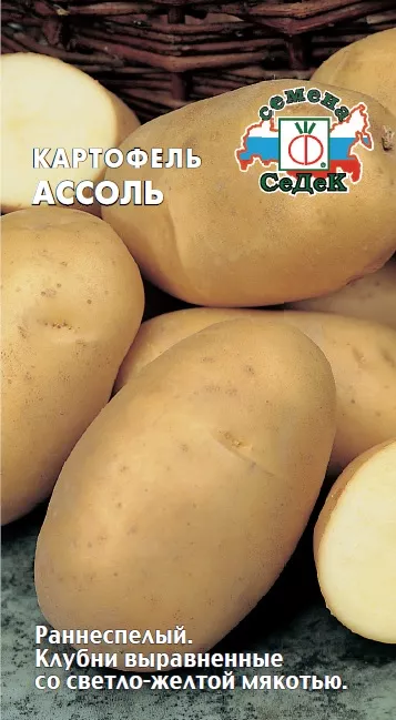 Картофель семена Ассоль 0,02г Седек