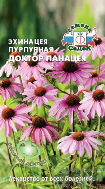 Эхинацея Доктор Панацея пурпурная 0,1г Седек