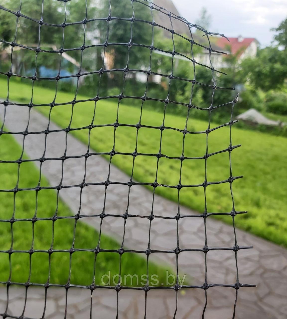 Сетка От Крота Купить