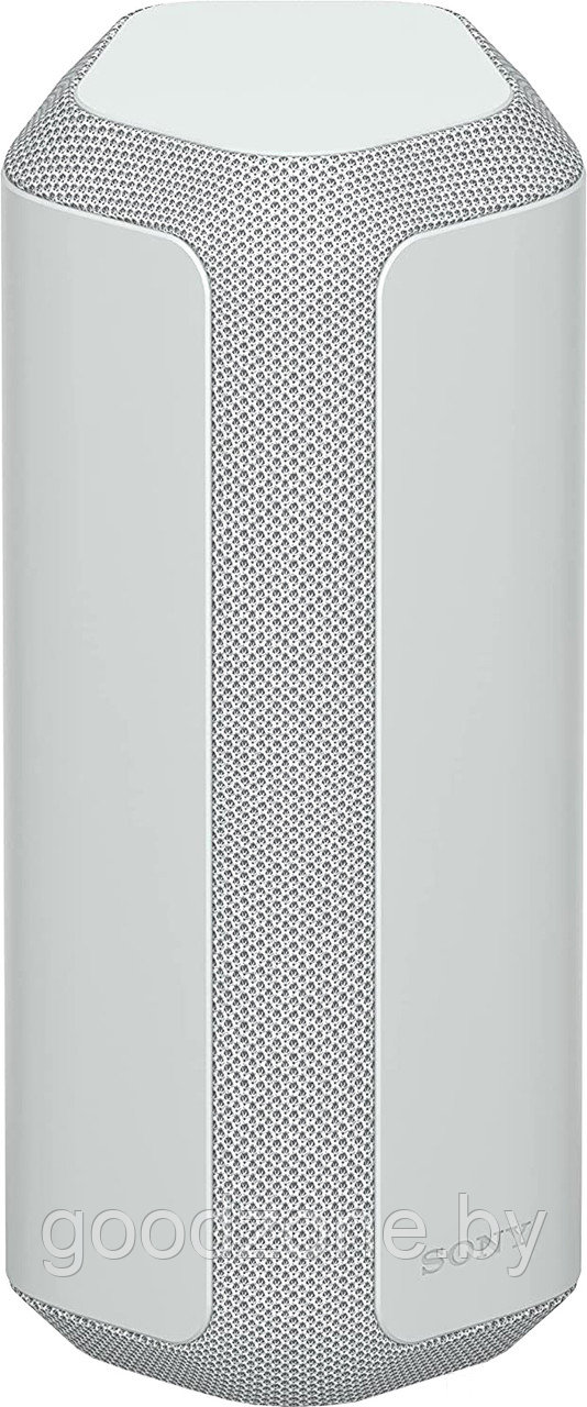 Беспроводная колонка Sony SRS-XE300 (серый) - фото 1 - id-p209709376