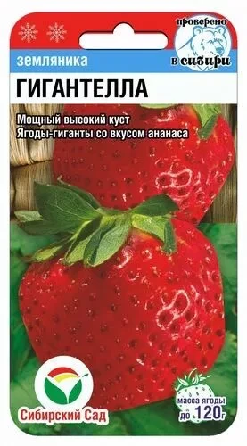 Земляника "Гигантелла", 10шт "Сиб сад", РФ