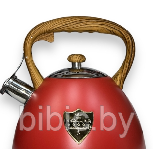 Чайник универсальный из нержавеющей стали SA-306 3 литра, чайник металлический со свистком красный - фото 3 - id-p211470491