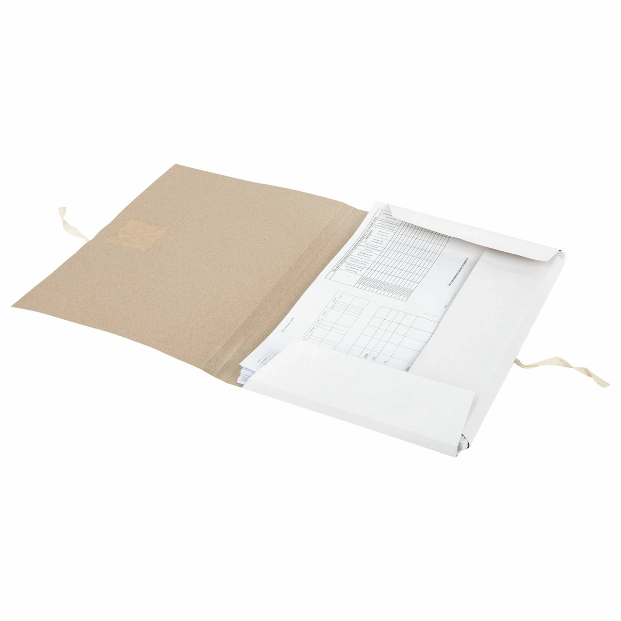 Папка для бумаг с завязками картонная STAFF, гарантированная плотность 220 г/м2, до 200л, 126525,РФ - фото 5 - id-p211465504