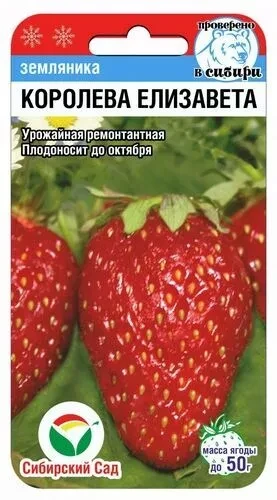 Земляника "Королева Елизавета", 10шт "Сиб сад", РФ