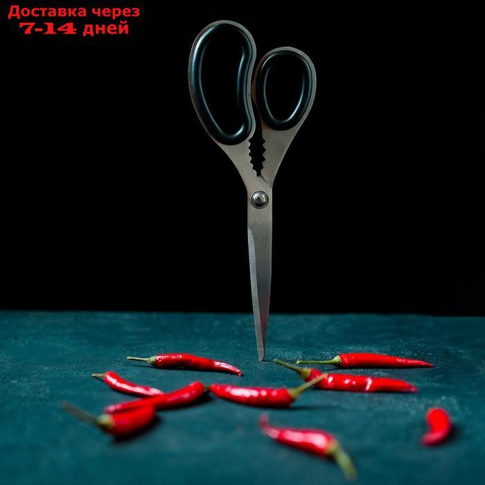 Ножницы кухонные Доляна "Профи", 23 см - фото 7 - id-p211456847