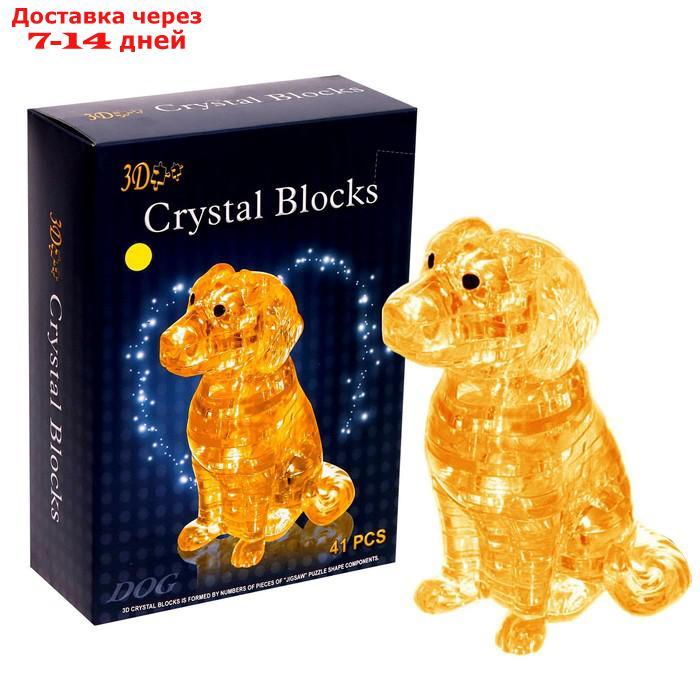 Пазл 3D кристаллический "Спаниель", 41 деталь, цвета МИКС - фото 1 - id-p211456017