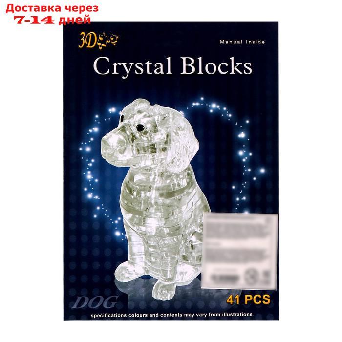 Пазл 3D кристаллический "Спаниель", 41 деталь, цвета МИКС - фото 6 - id-p211456017