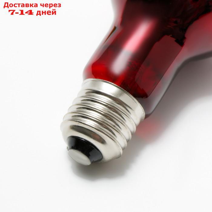 Лампа для террариума NomoyPet инфракрасная, 100 Вт, цоколь Е27 - фото 2 - id-p211458453