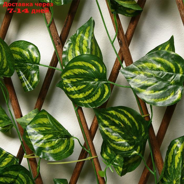 Ограждение декоративное, 200 × 75 см, "Лист осины", Greengo - фото 4 - id-p211456398