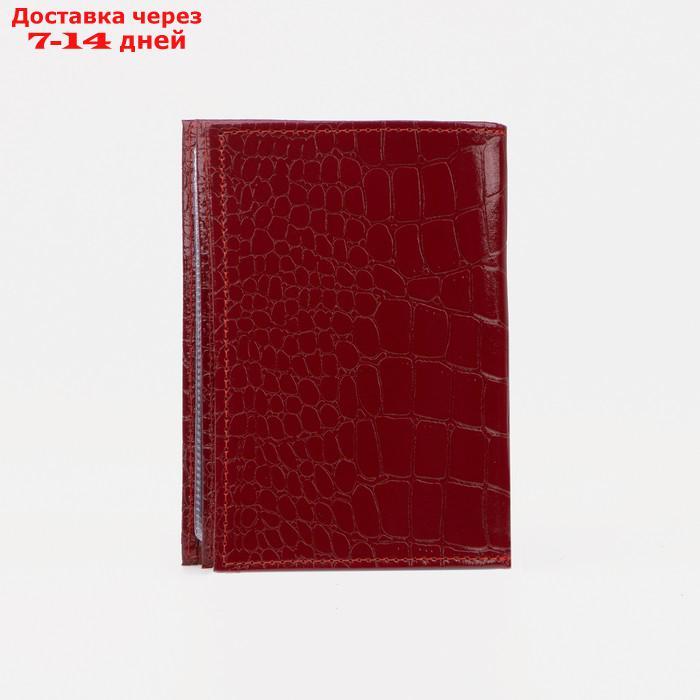 Обложка для автодокументов и паспорта, крокодил, цвет красный - фото 2 - id-p211457364