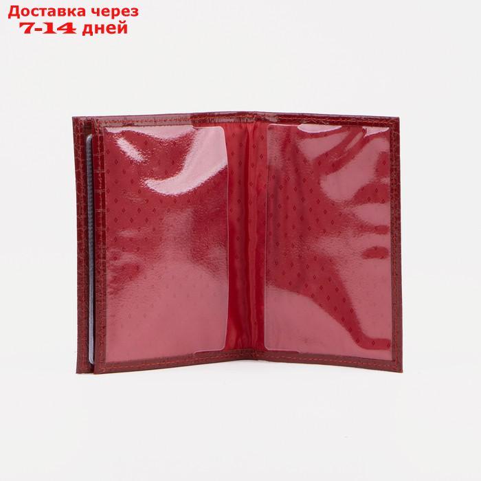 Обложка для автодокументов и паспорта, крокодил, цвет красный - фото 4 - id-p211457364
