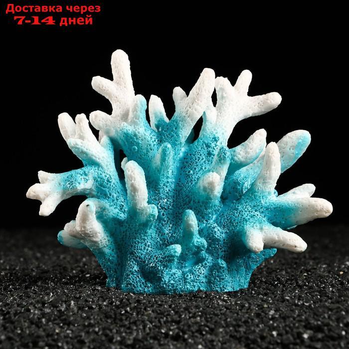 Декоративный коралл "Синулярия", 18 х 9 х 14 см, голубой - фото 1 - id-p211458574