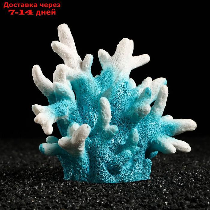 Декоративный коралл "Синулярия", 18 х 9 х 14 см, голубой - фото 3 - id-p211458574