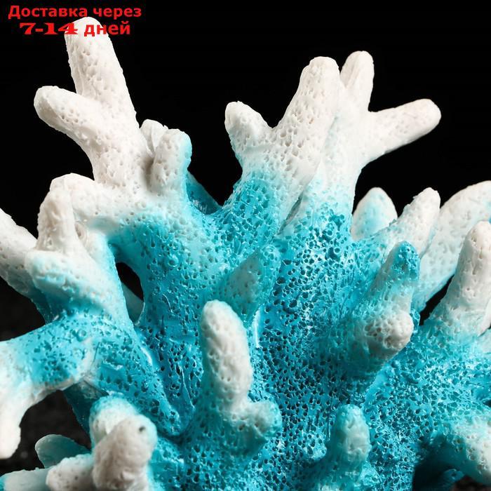 Декоративный коралл "Синулярия", 18 х 9 х 14 см, голубой - фото 4 - id-p211458574