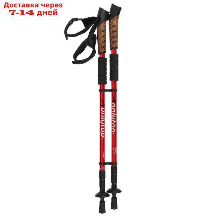Палки для скандинавской ходьбы, телескопические, 3 секции, до 135 см, 2 шт., цвета микс - фото 1 - id-p211457956