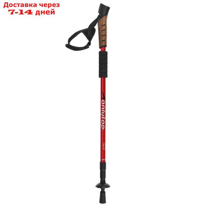 Палки для скандинавской ходьбы, телескопические, 3 секции, до 135 см, 2 шт., цвета микс - фото 2 - id-p211457956