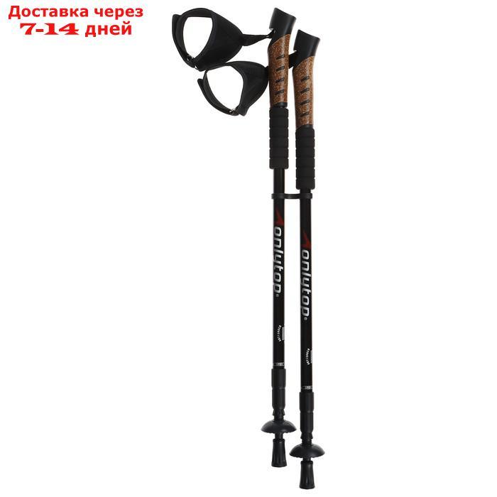 Палки для скандинавской ходьбы, телескопические, 3 секции, до 135 см, 2 шт., цвета микс - фото 7 - id-p211457956