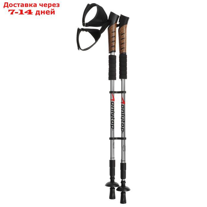 Палки для скандинавской ходьбы, телескопические, 3 секции, до 135 см, 2 шт., цвета микс - фото 8 - id-p211457956
