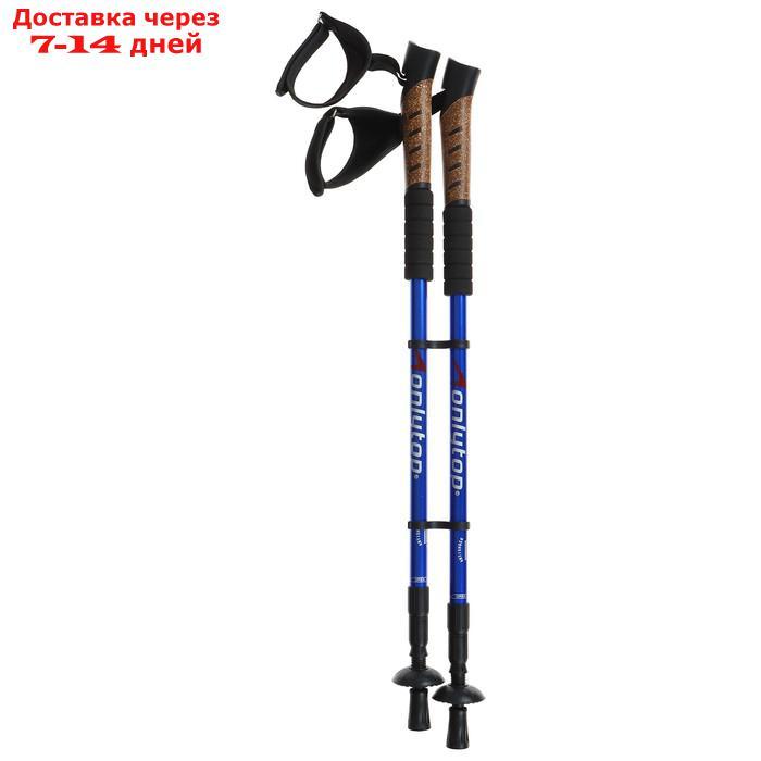 Палки для скандинавской ходьбы, телескопические, 3 секции, до 135 см, 2 шт., цвета микс - фото 9 - id-p211457956