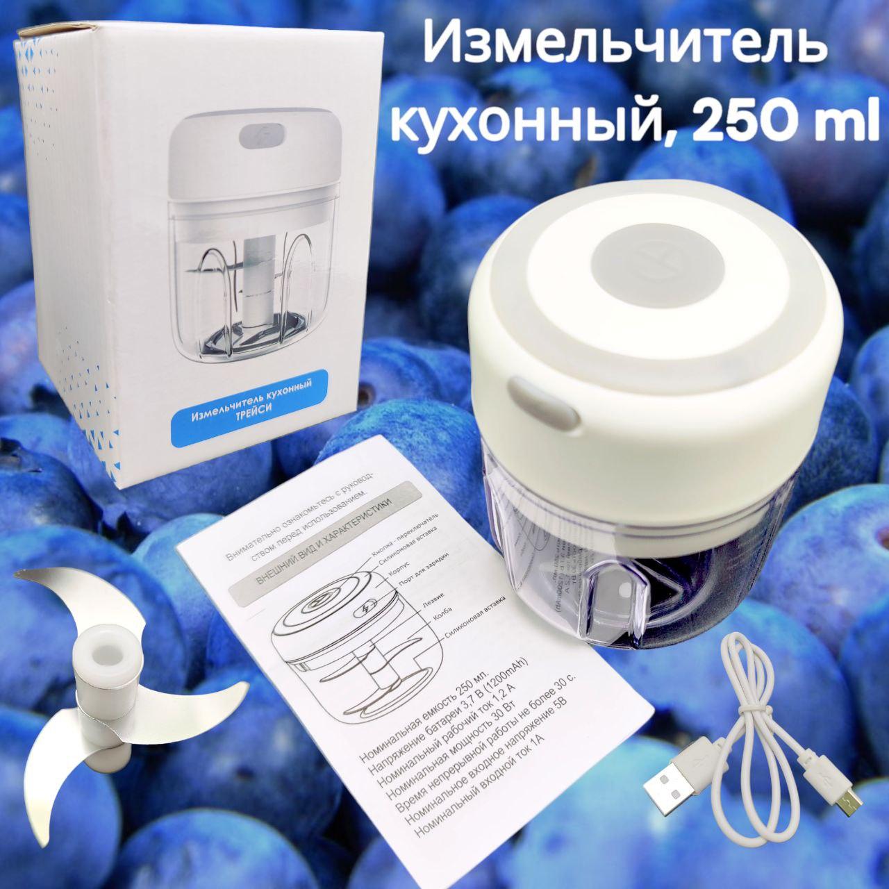 Портативный измельчитель кухонный Трейси, 250 ml - фото 1 - id-p211504092