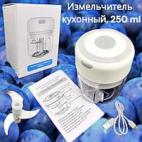 Портативный измельчитель кухонный Трейси, 250 ml