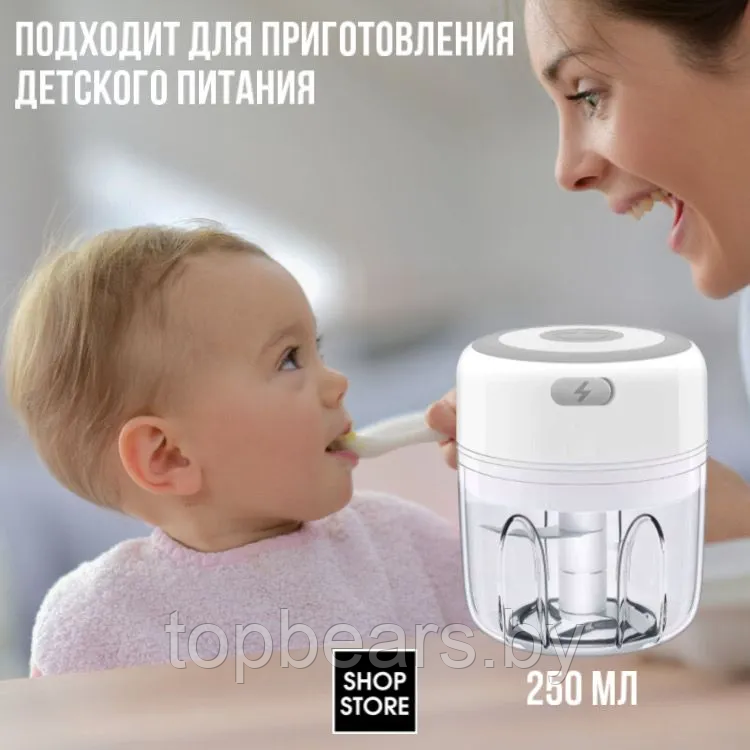 Портативный измельчитель кухонный Трейси, 250 ml - фото 9 - id-p211504800