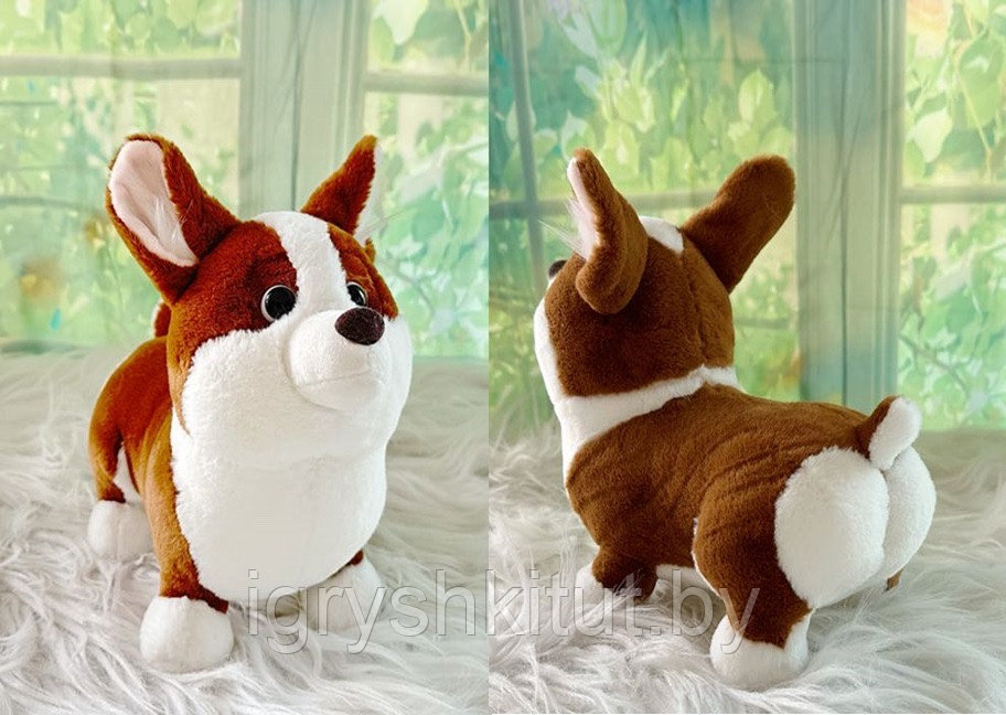 Мягкая игрушка собака Корги, 25 см - фото 1 - id-p211513421