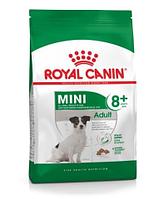 Сухой корм для собак Royal Canin Mini Adult 8+ 2 кг