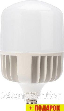 Светодиодная лампочка Rexant 100 Вт E27/E40 9500 Лм 4000 K нейтральный свет 604-151, фото 2