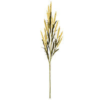 Цветок декоративный «Эремурус полевой», высота 75 см, цвет жёлтый