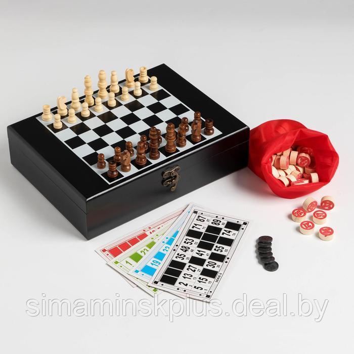 Набор 2 в 1: шахматы, лото, 22 х 27 см, микс - фото 1 - id-p211530516