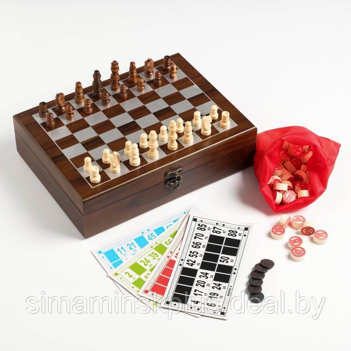 Набор 2 в 1: шахматы, лото, 22 х 27 см, микс - фото 2 - id-p211530516