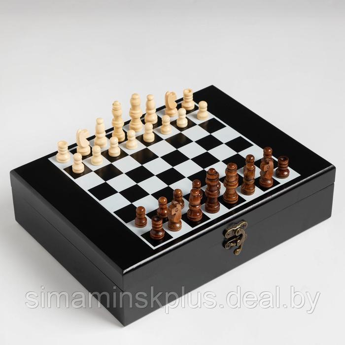 Набор 2 в 1: шахматы, лото, 22 х 27 см, микс - фото 3 - id-p211530516