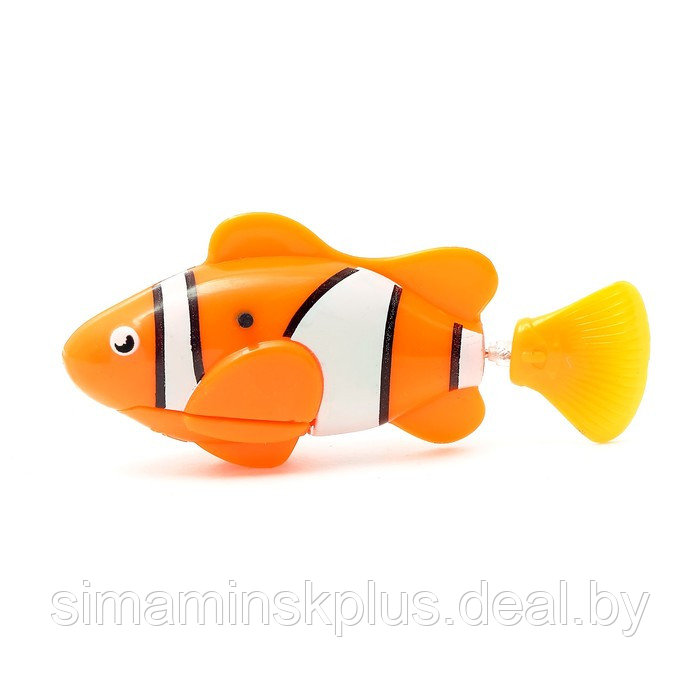 Аквариумная рыбка «Клоун», плавает в воде, работает от батареек - фото 4 - id-p211537187