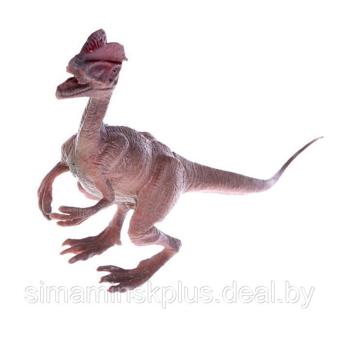 Набор динозавров «Юрский период», 6 фигурок - фото 6 - id-p211537220