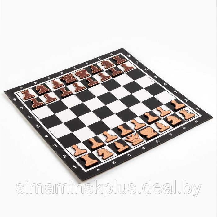 Демонстрационные шахматы "Время игры" на магнитной доске, 32 шт, поле 40 х 40 см, чёрные - фото 3 - id-p211542703