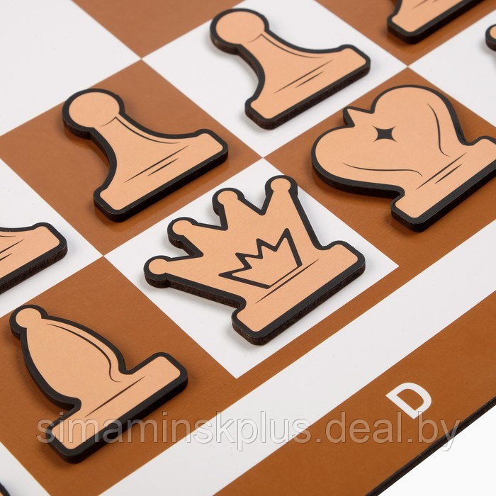 Демонстрационные шахматы "Время игры" на магнитной доске, 32 шт, поле 60 х 60 см, коричневые - фото 4 - id-p211542707