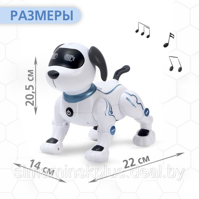 Робот-собака «Дружок-трюкач», звуковые эффекты, управление с пульта - фото 2 - id-p211539158
