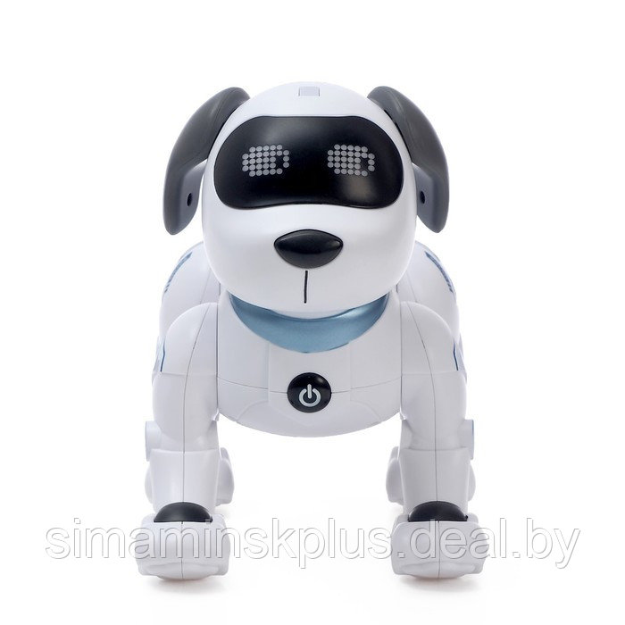 Робот-собака «Дружок-трюкач», звуковые эффекты, управление с пульта - фото 8 - id-p211539158