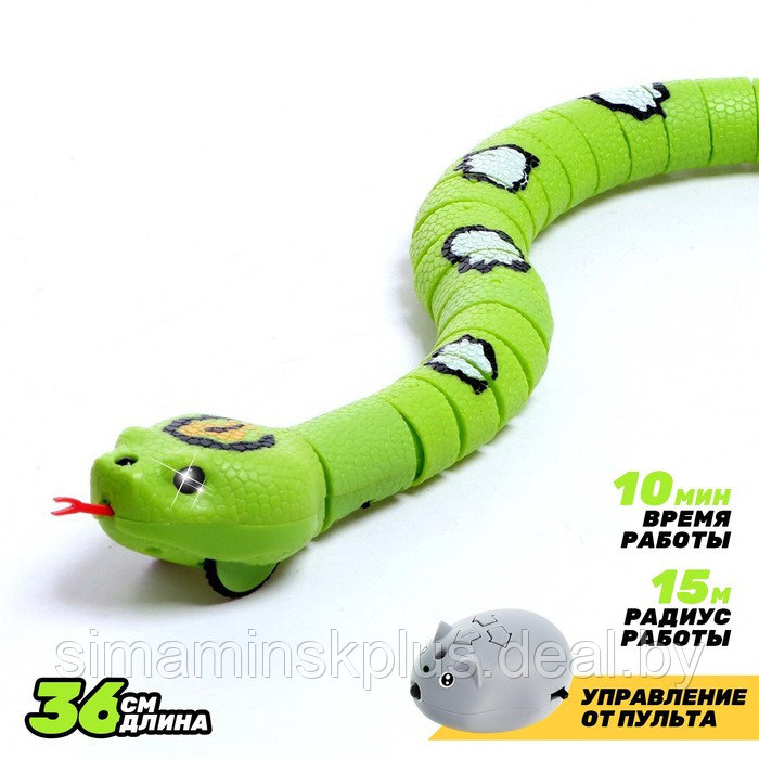 Змея радиоуправляемая «Джунгли», работает от аккумулятора, цвет зеленый - фото 1 - id-p211543946