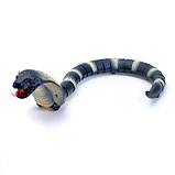 Змея радиоуправляемая «Королевская кобра», работает от аккумулятора, фото 5